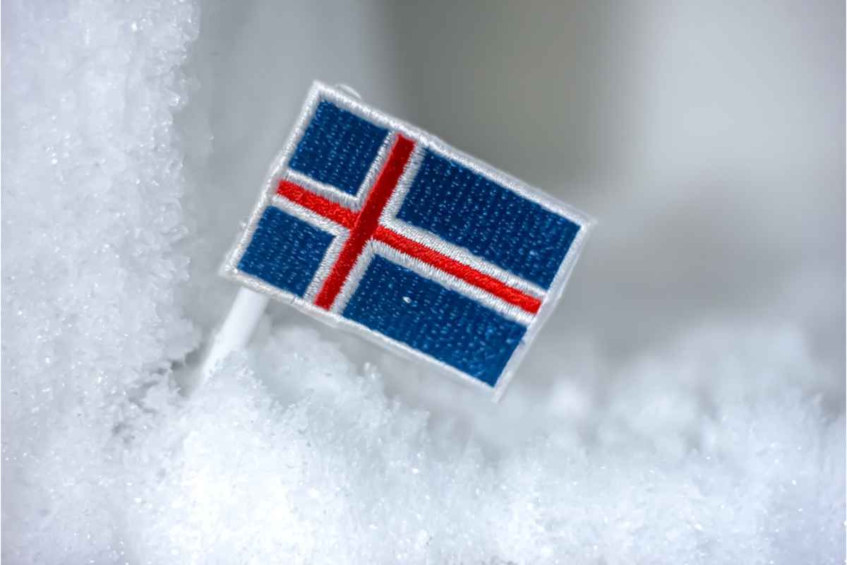 Small Icelandic flag standing in deep snow.
