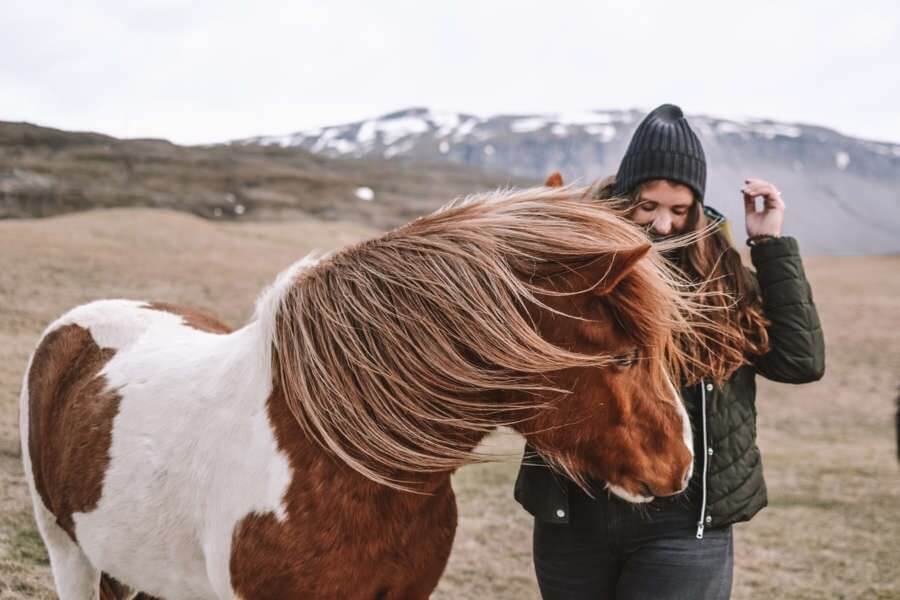Girl standing by a horse with crazy hair due to the windy weather in Iceland