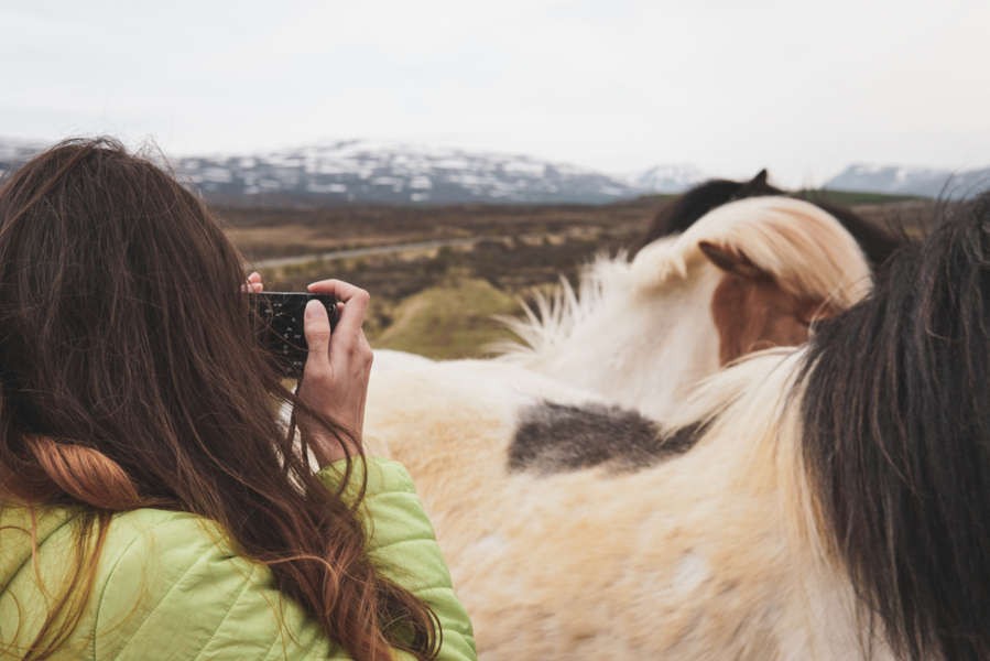 woman taking pictures of Icelandic horses