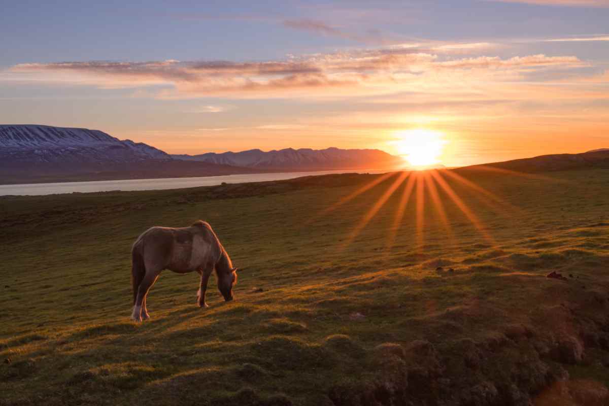 midnight sun Iceland