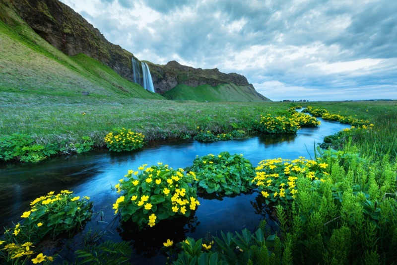 Spring or fall in Iceland when the icelandic weather is somewhat humid and rainy