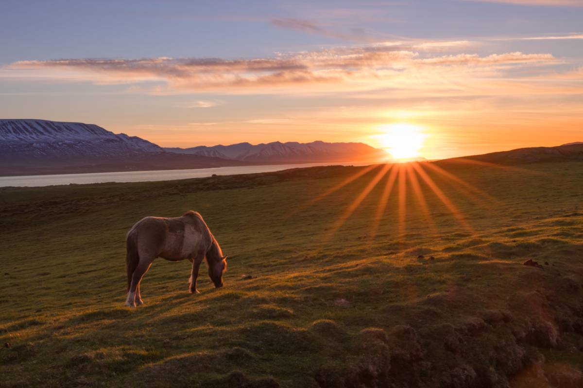 Midnight sun, Iceland