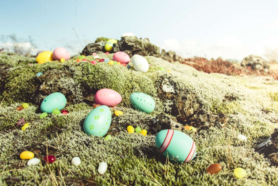 Easter eggs in the Icelandic moss