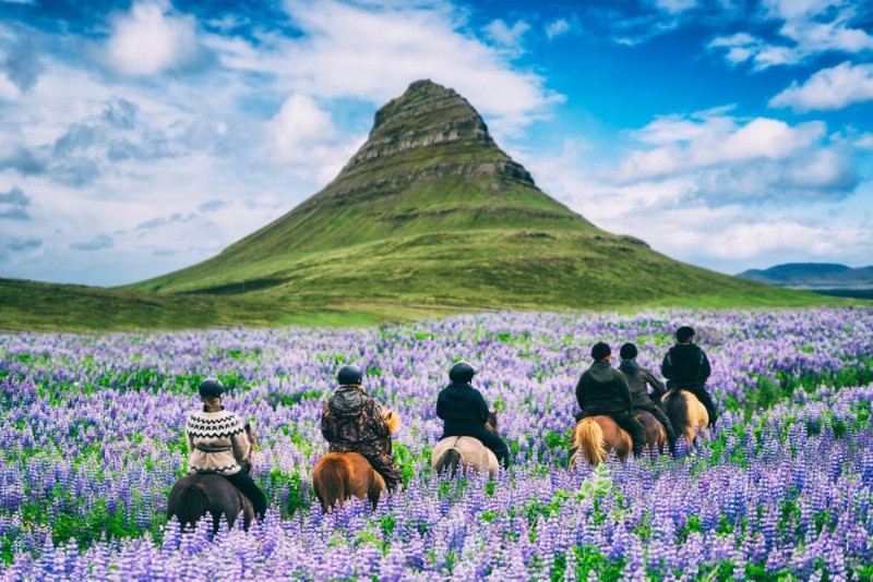 Horseback riding can be done if you visit Iceland in summer too