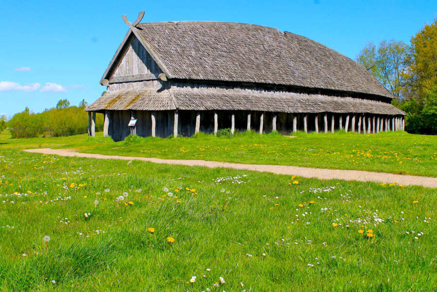 Viking longhouse in the meadows