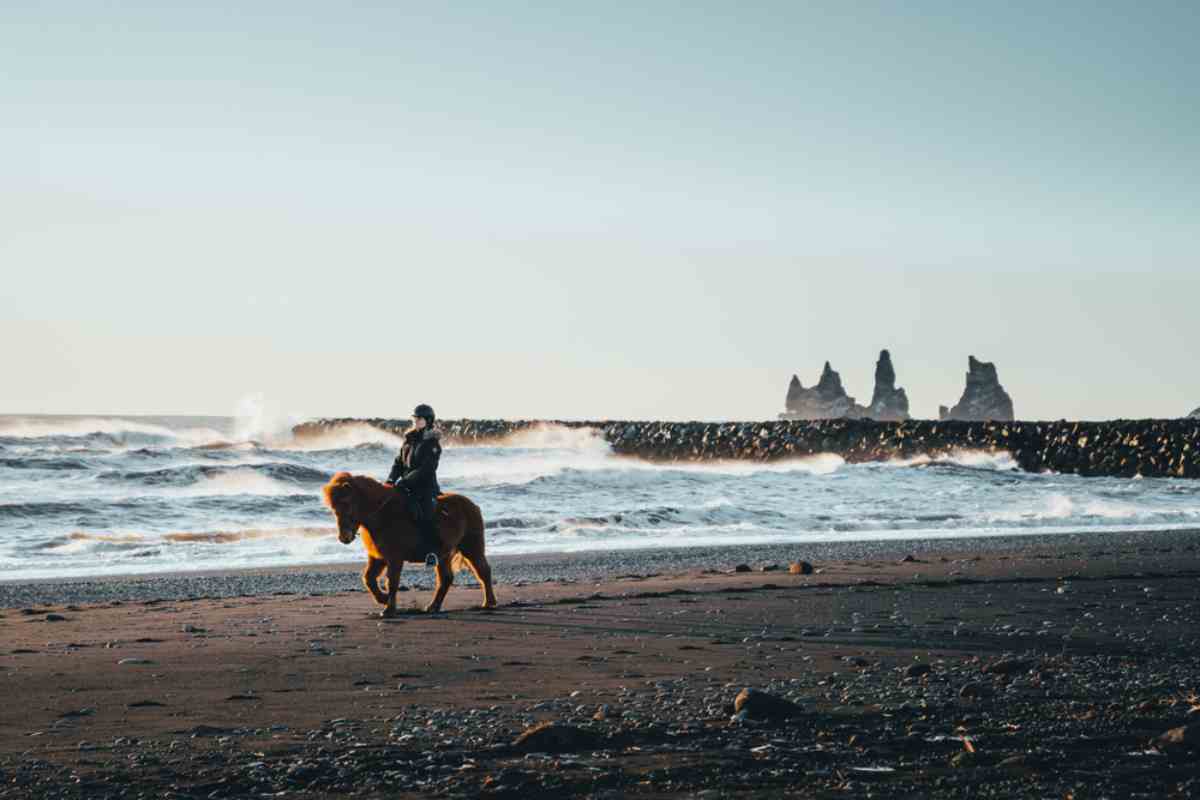 Iceland Horseback Riding