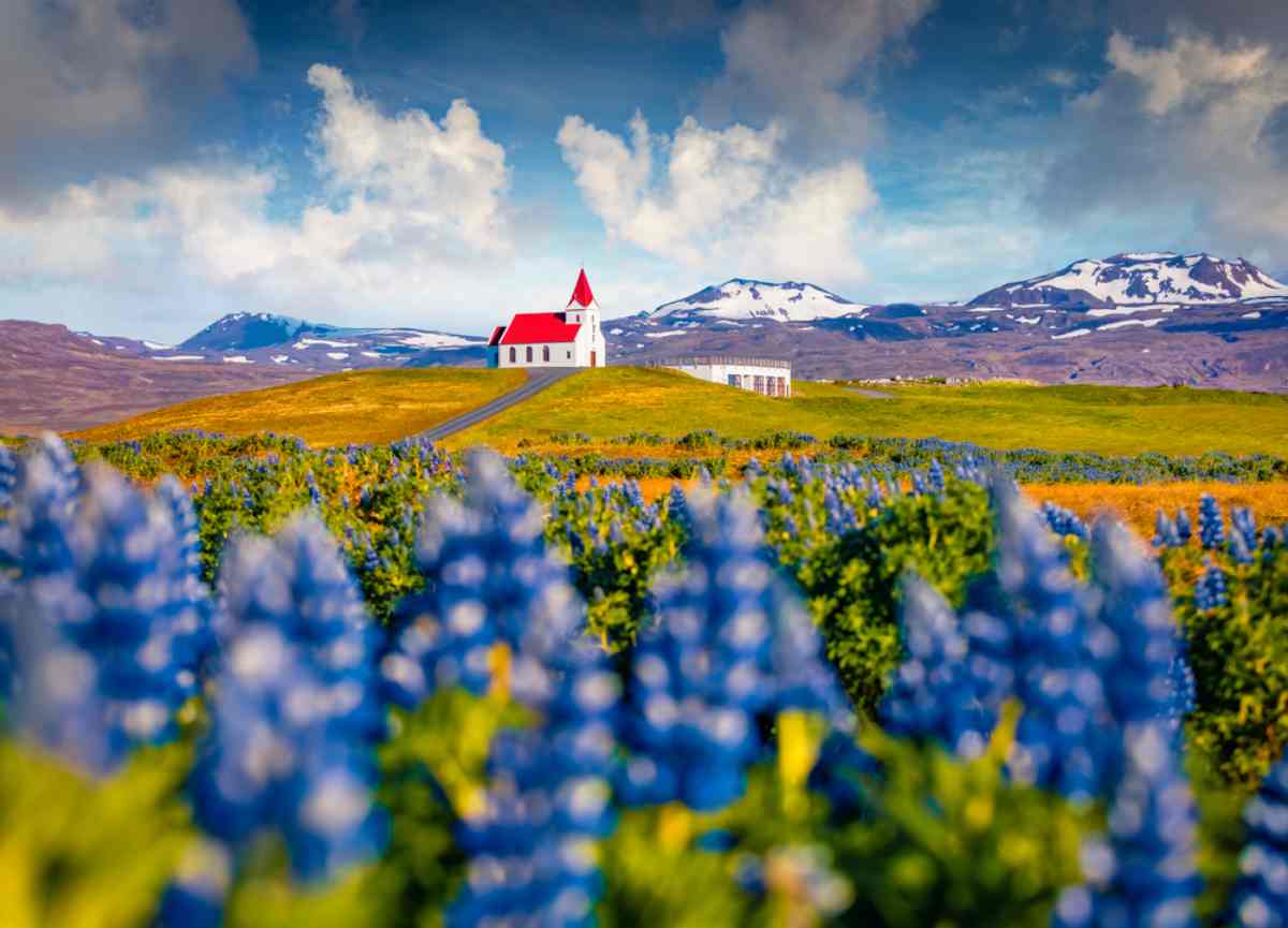 Summer tours in Iceland