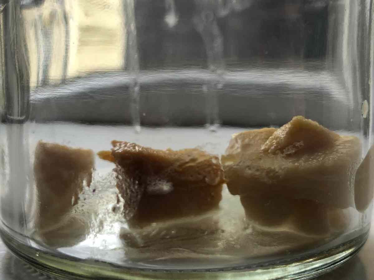 Fermentierter hai Island zu hause