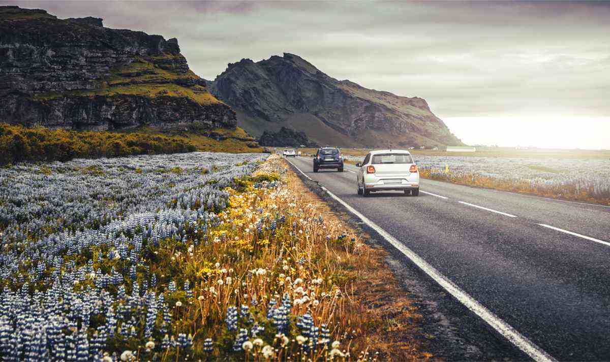 Im September in Island Auto fahren Autos auf der isländischen Ringstraße mit herbstlicher Landschaft.