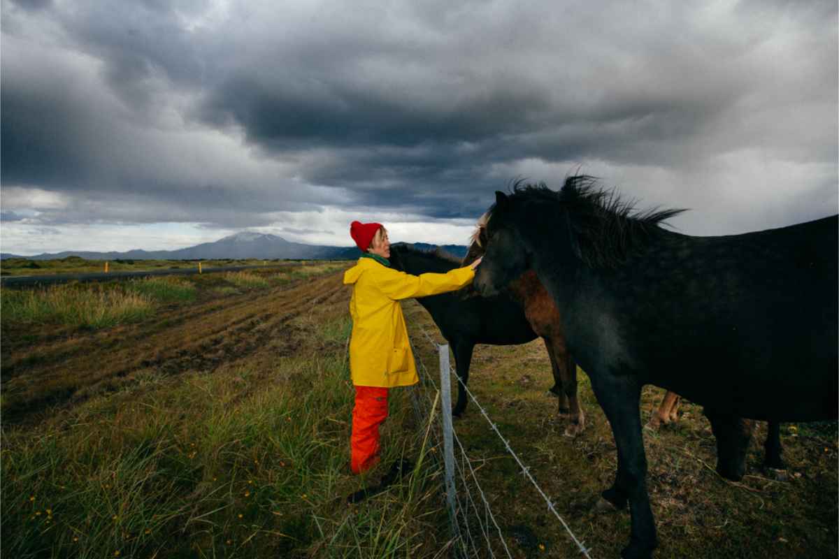 Artículos de equipaje para actividades específicas en Islandia Turista con chaqueta amarilla brillante acariciando caballos islandeses