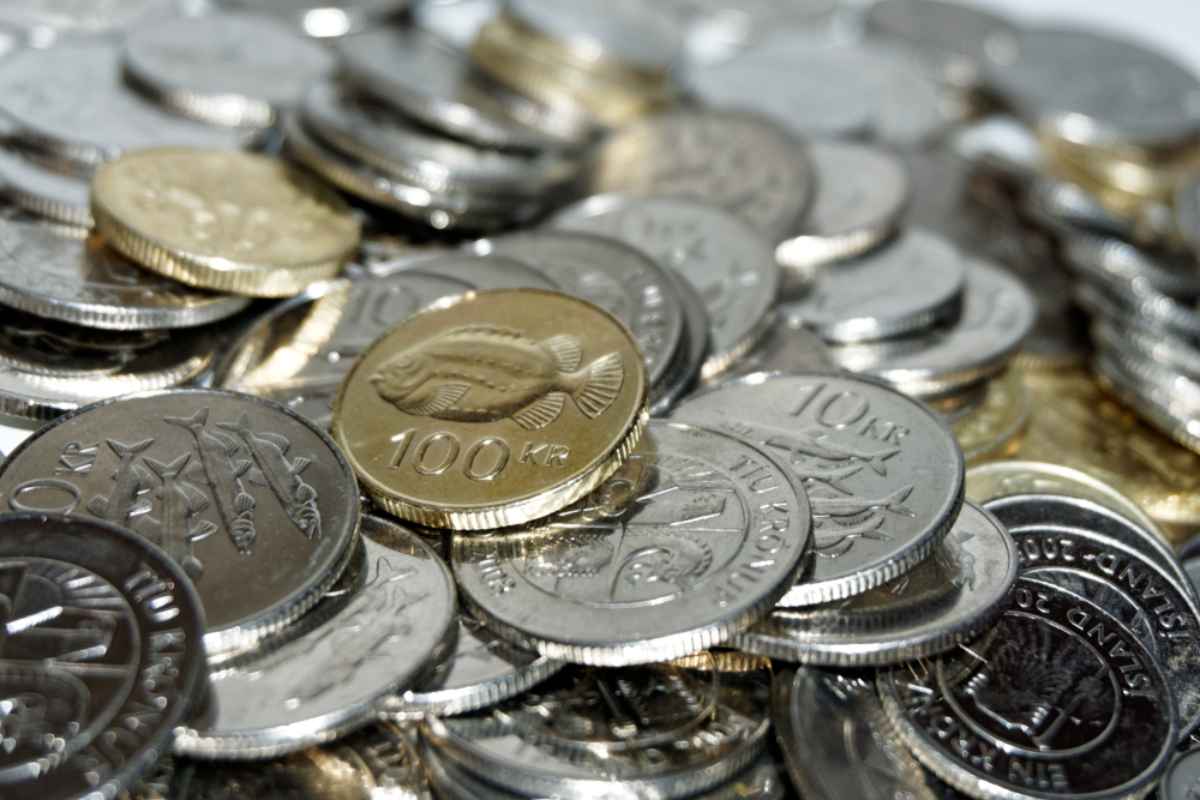 Augmentation des taxes en Islande Ensemble de pièces islandaises grises et noires ornées du dessin d’un poisson au centre.