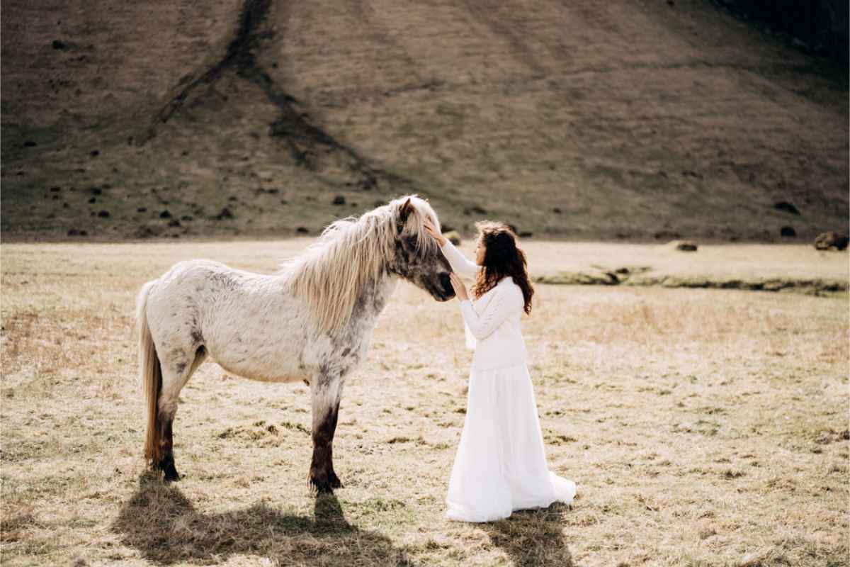 Femme en robe de mariée avec un cheval islandais