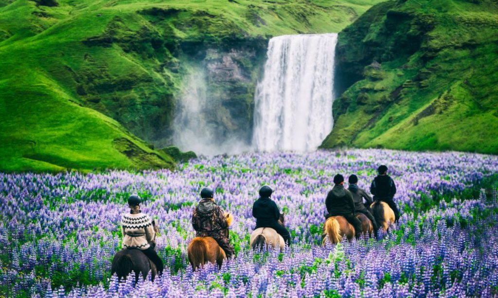 Things to do in Iceland Horse riding